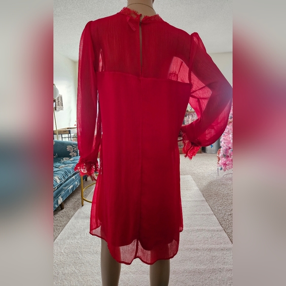 Lace Red Sheer Boxy Shaped Long Sleeved Floral Dress - Romantic Elegance - Picture 3 of 12